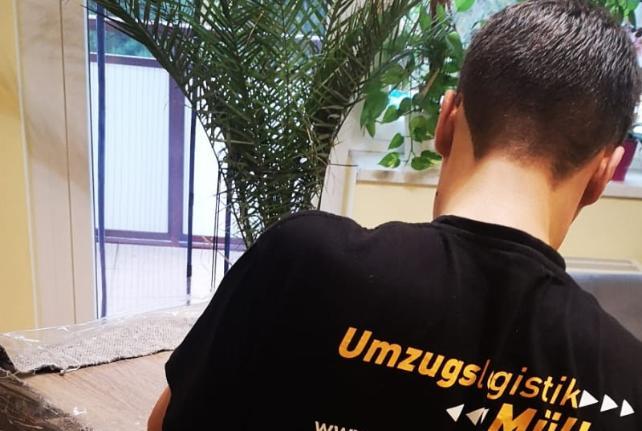 Laborumzug Schönfeld stressfrei umziehen 